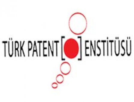 turk_patent_enstitusu_yurt_disi_egitim_yonetmeligi_5a025